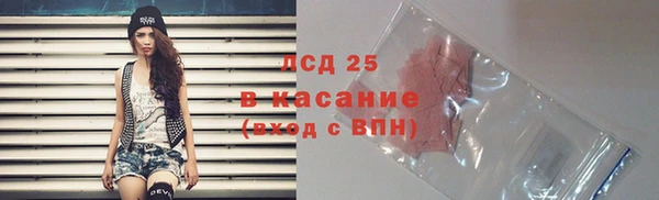 сатива Беломорск