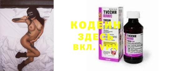 сатива Беломорск
