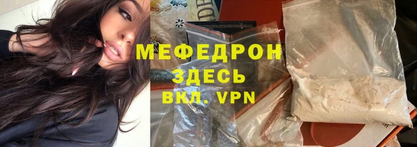 сатива Беломорск