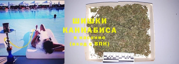 сатива Беломорск