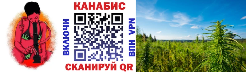 Бошки Шишки план Юрга